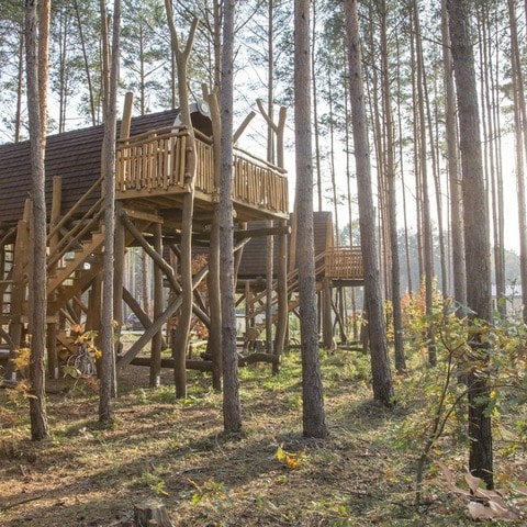 Glamping in Brandenburg: Schlafen im Baumhaus