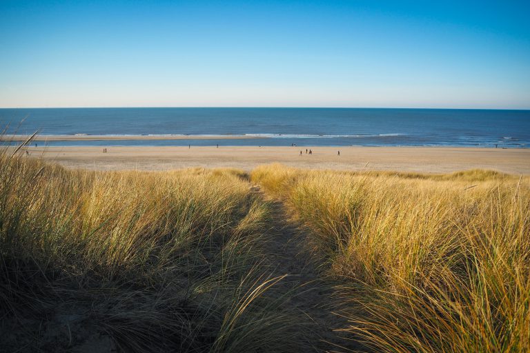 Düne mit Gras am Strand