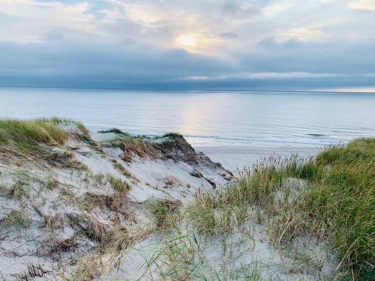 Düne am Meer