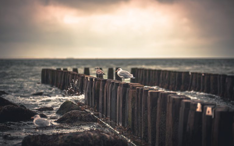 Wellenbrecher im Meer mit zwei Möwen