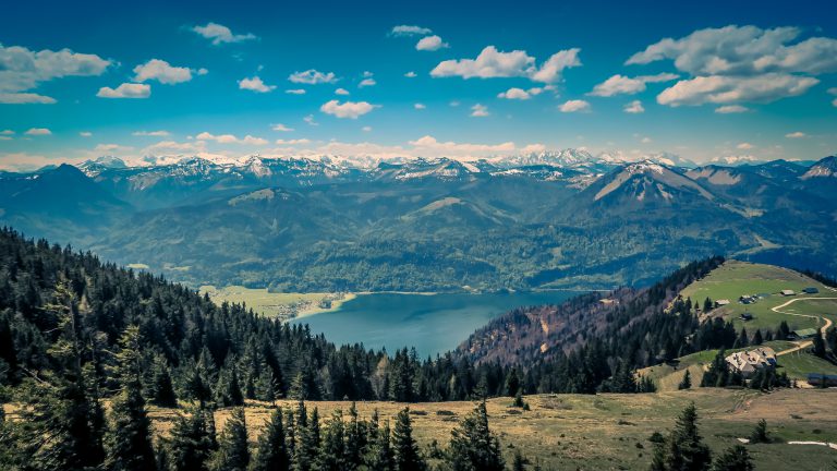 Baumlandschaft mit einem See