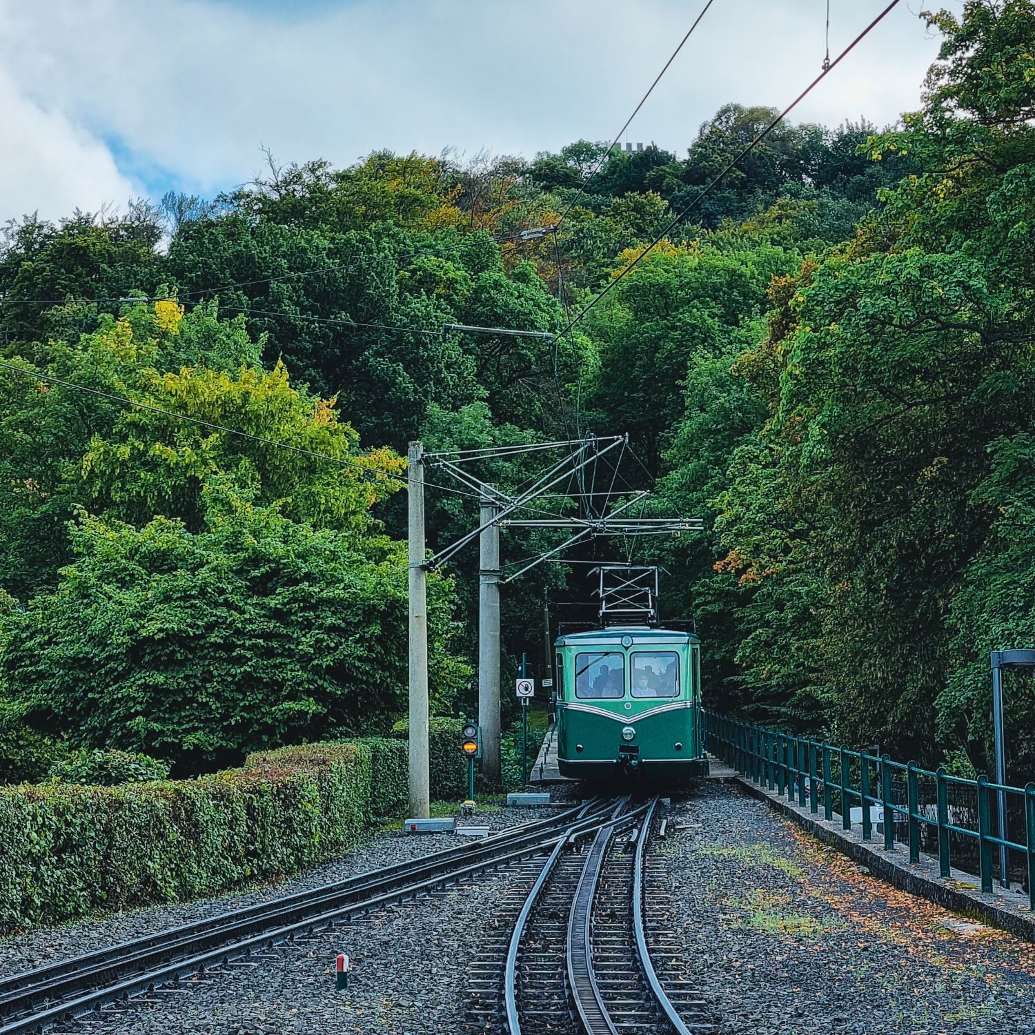 Zahnradbahn fährt auf Schienen, im Hintergrund sind Wälder