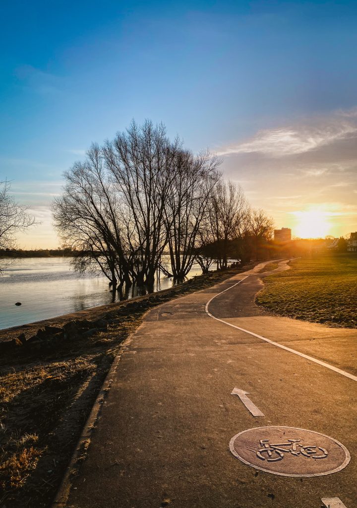 Radweg am Rhein in Köln