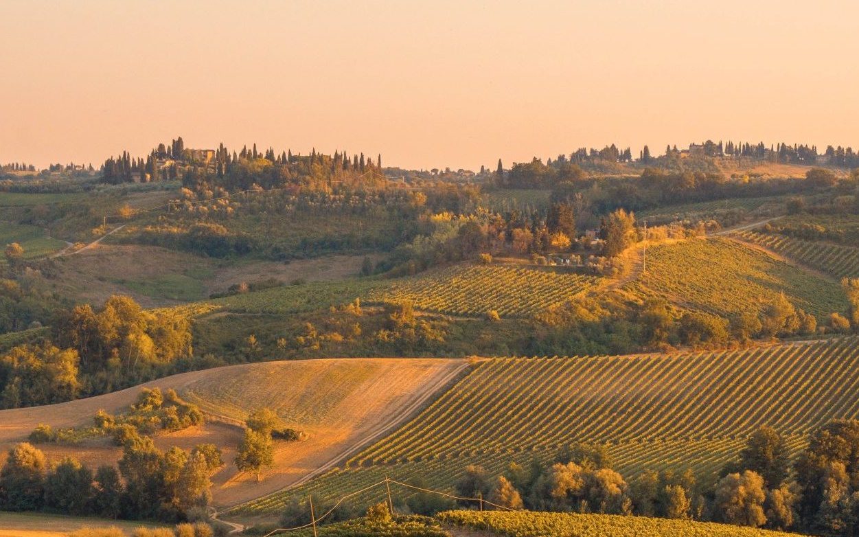 Weinberge der Toskana