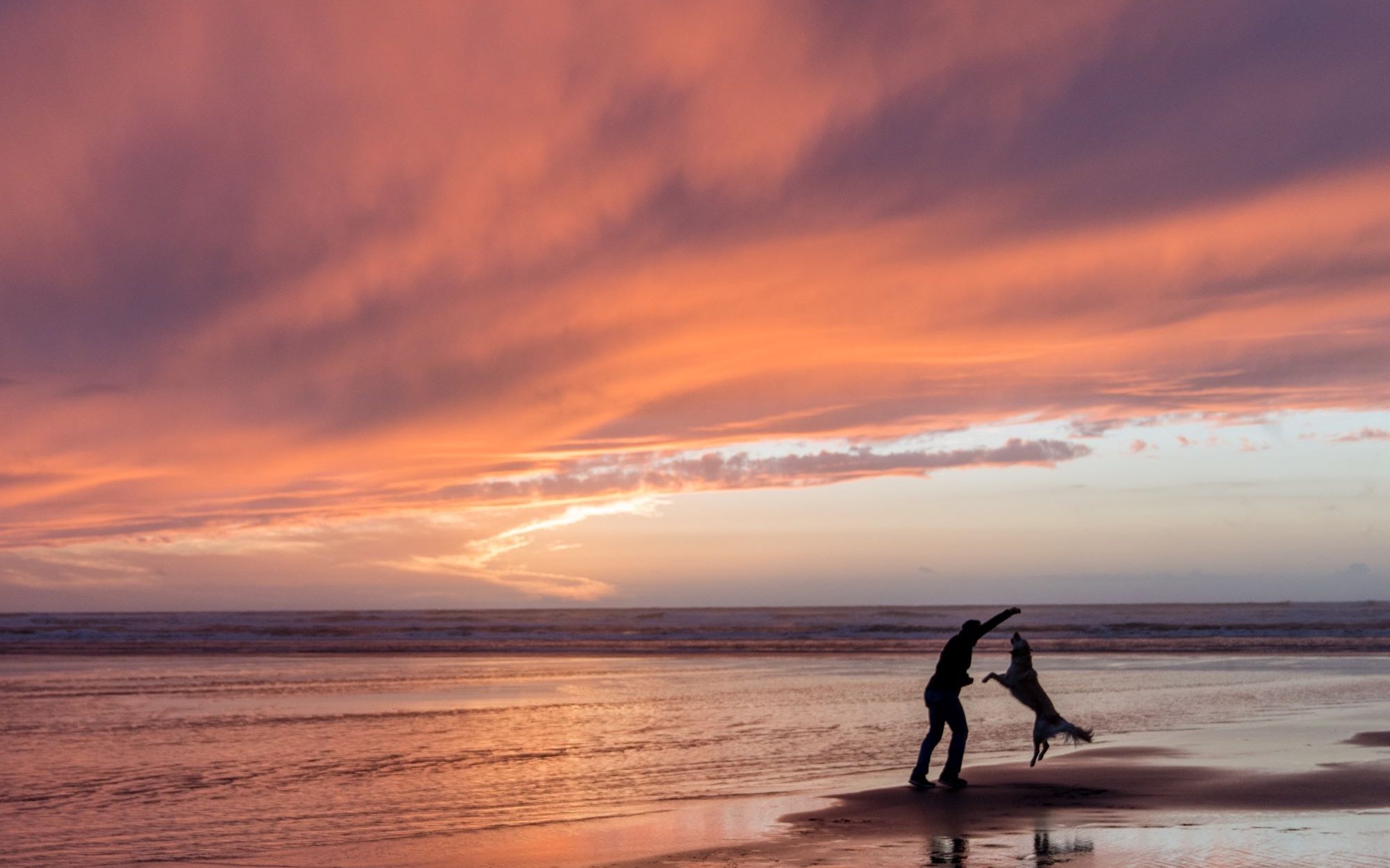 Mann spielt mit springendem Hund am Strand bei Sonnenaufgang am Meer