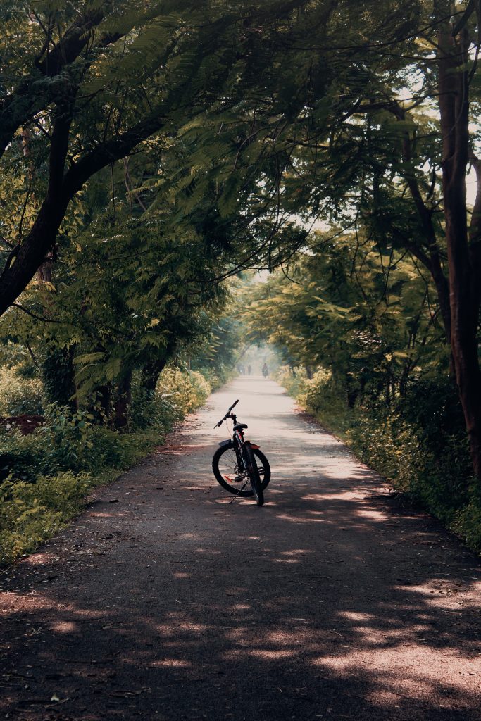 Die schönsten Fahrradtouren in Deutschland