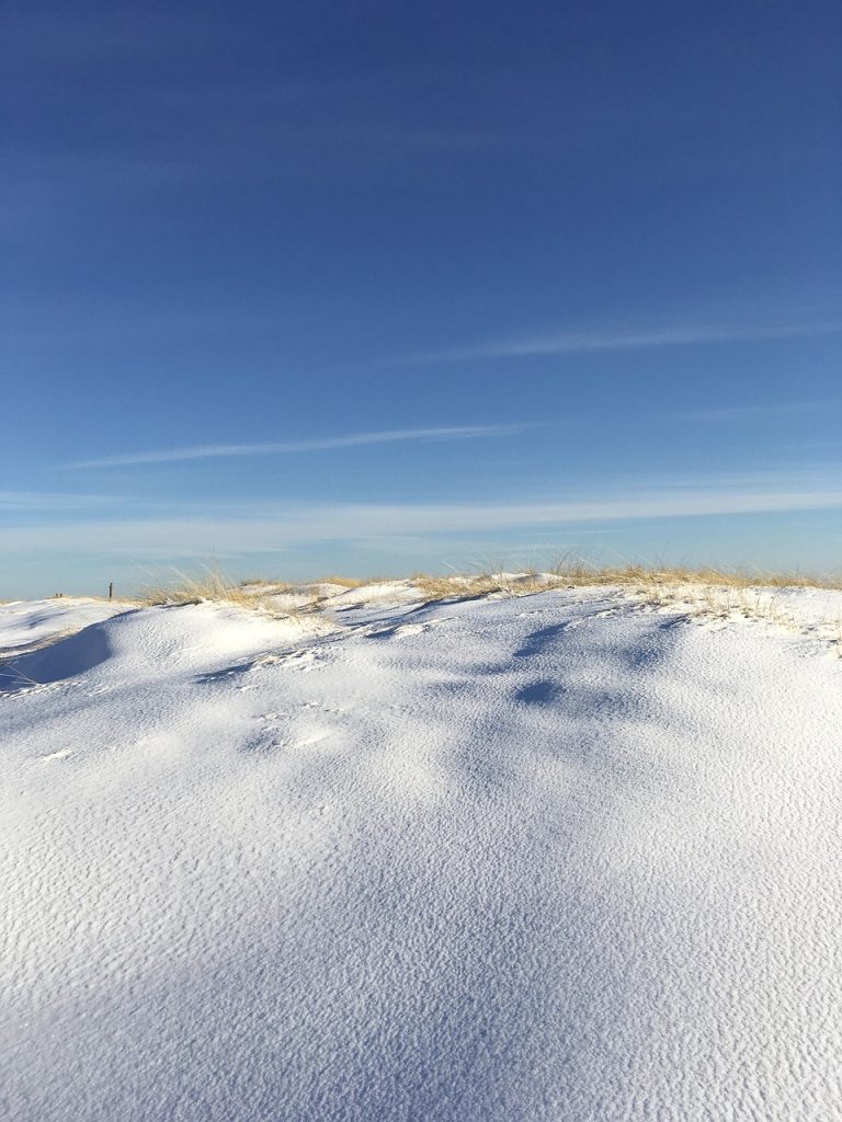 Camping Dänemark mit Hund -Blick auf die Dünen und den Sandstrand in Skagen.