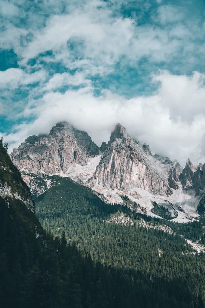 Camping Österreich mit Hund - Blick auf die Berglandschaft und Bäume in Tirol.