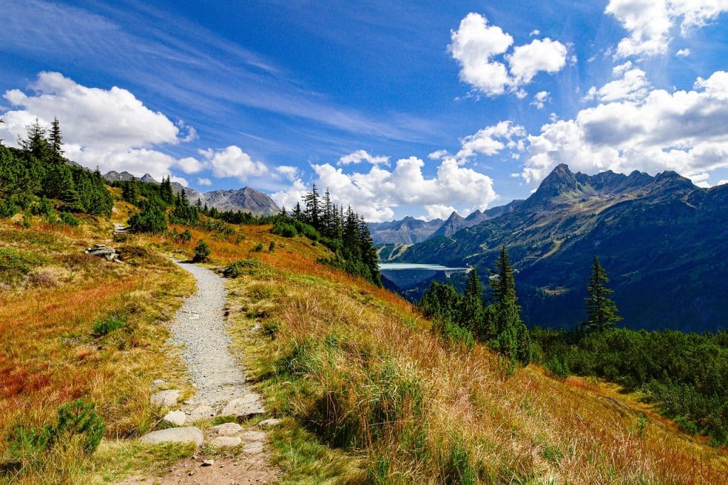 Camping Österreich mit Hund - Blick auf einen Wanderweg in Vorarlberg mit Bergen  und Bäumen im Hintergrund.