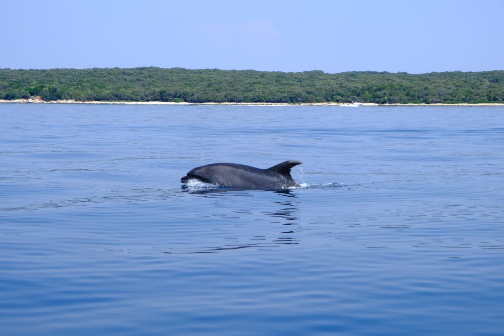 Lošinj