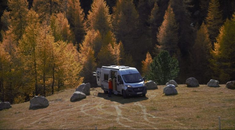 Nachhaltig Campen - Blick auf ein Wohnmobil in der Natur mit Bäumen im Hintergrund.