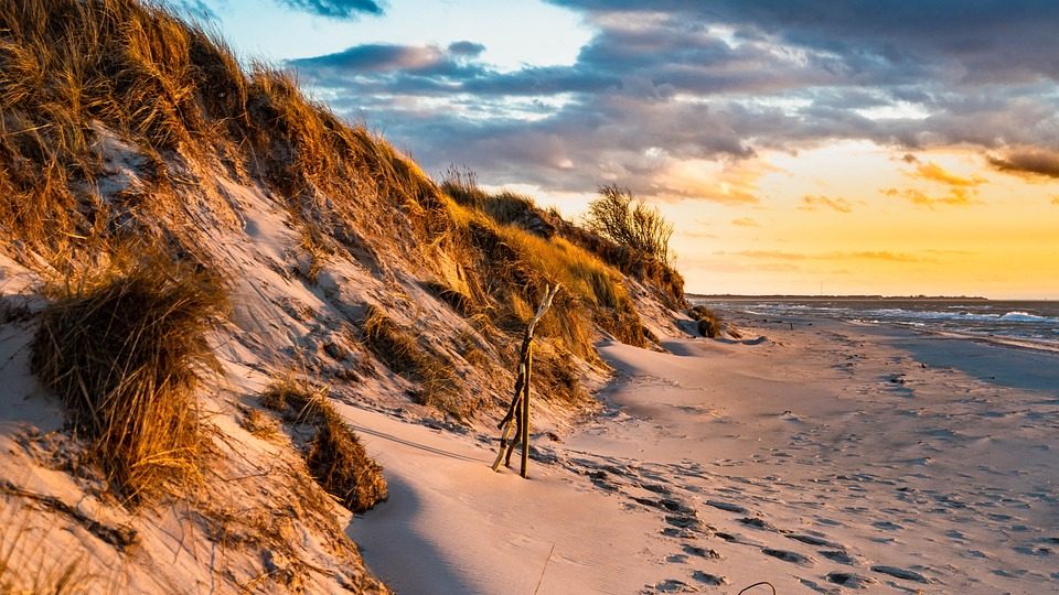 Deutschland Sommerferien - Blick auf die Dünen und Gräser vom Westrand auf Sylt