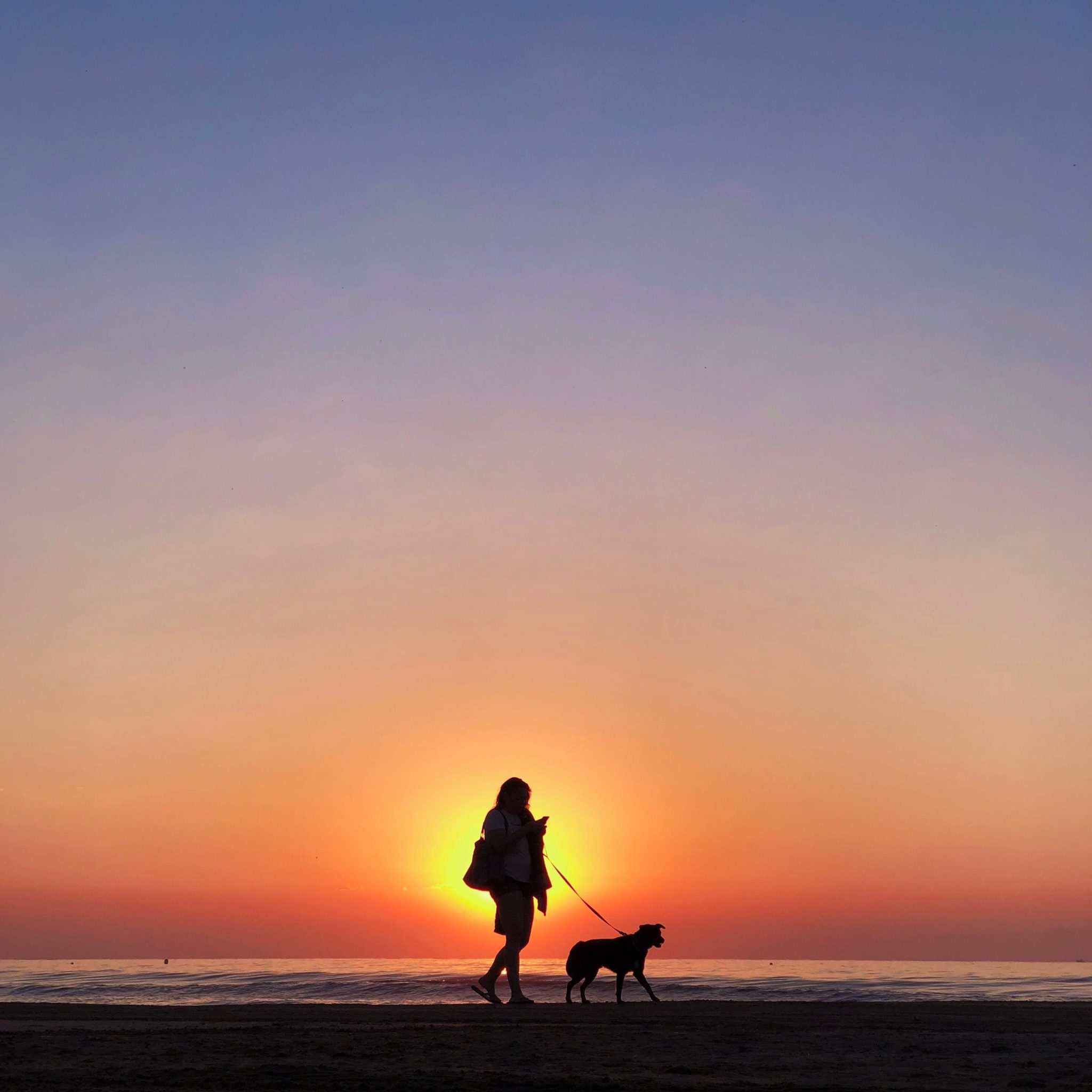 Camping Spanien mit Hund