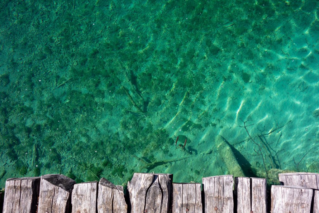 Glamping Kroatien - Blick auf den Meeresgrund durch das klare Wasser