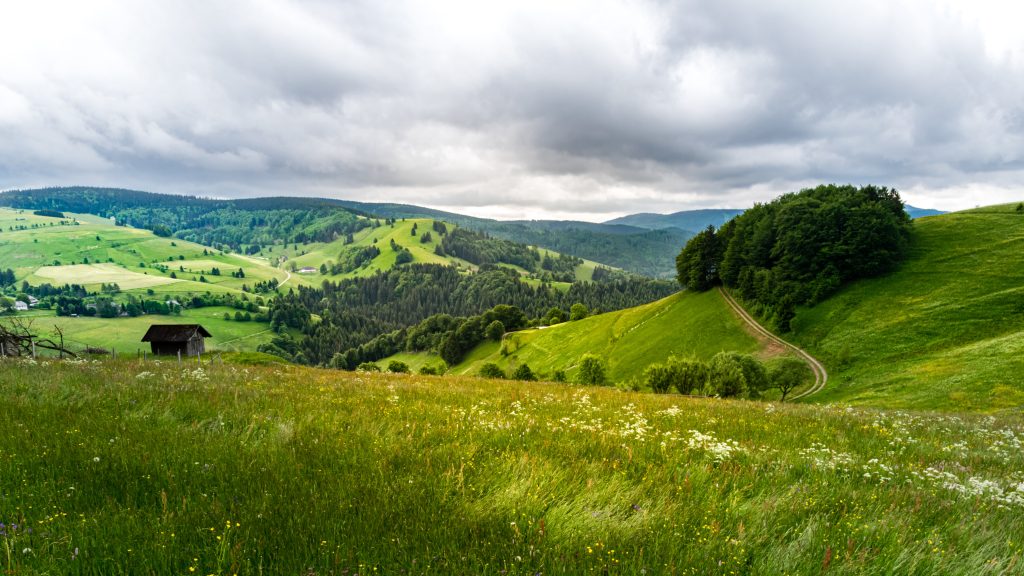 Camping im Herbst - Landschaft aus Wiese, Feld und Bäumen. 