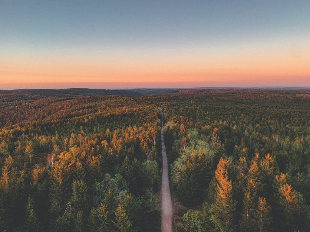 Camping im Herbst - Schwarzwald und mitten durch führt eine Straße