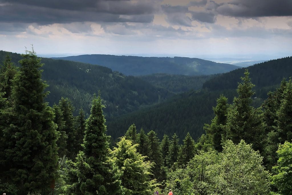 Camping Angeln direkt am Wasser - Blick auf Berge voll Bäume.