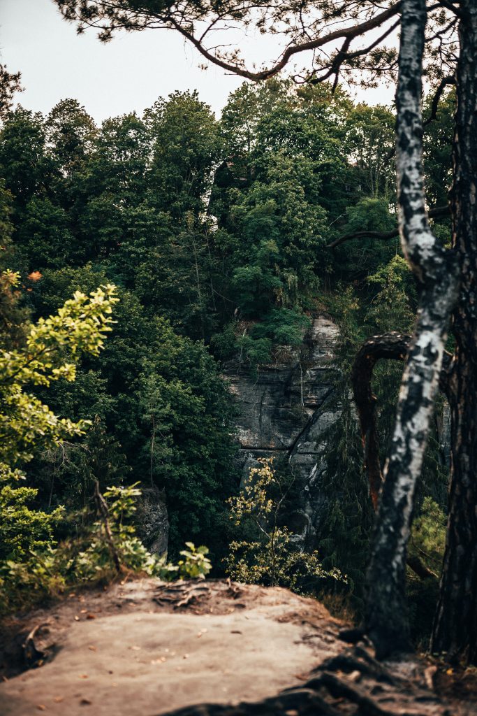 Camping Sächsische Schweiz - Klippen im Wald