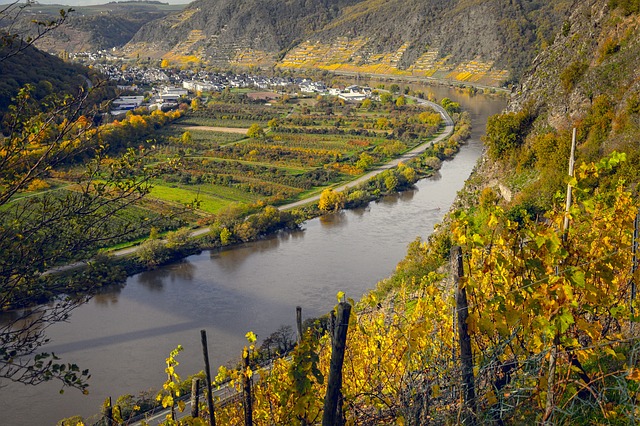 Campingplätze am Fluss - Blick auf die Mosel und umherliegende Weinberge.