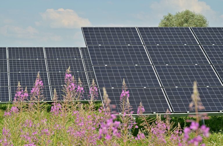 Wohnmobil Solaranlage überprüfen - Blick auf Solarpanels auf einer Wiese.