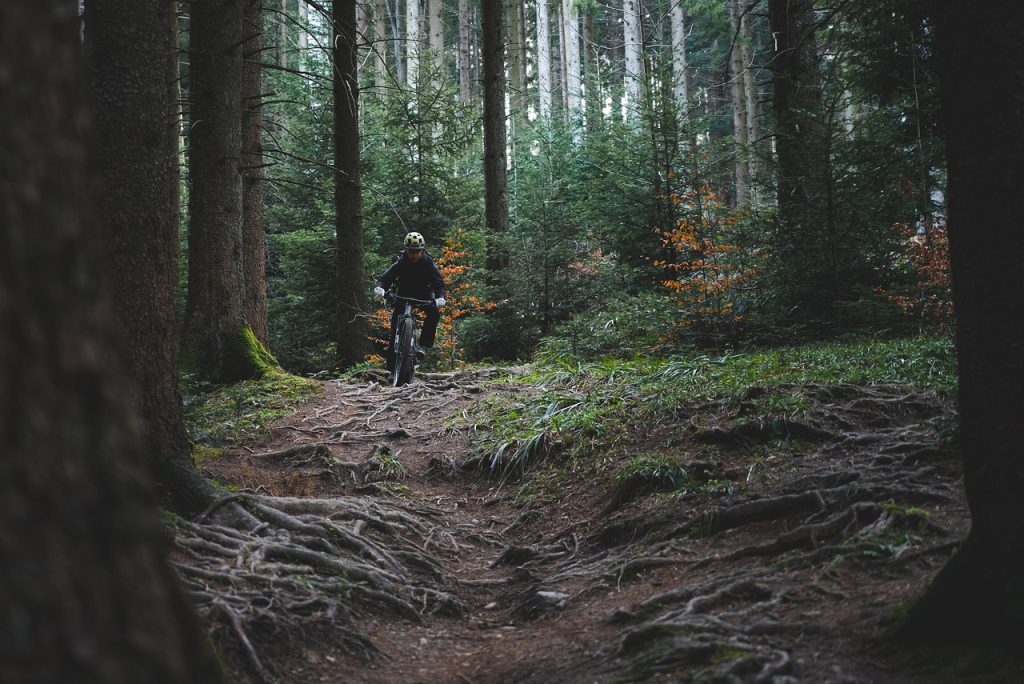 Camping Mecklenburgische Seenplatte - Blick auf einen Fahrradfahrer mitten im Wald.