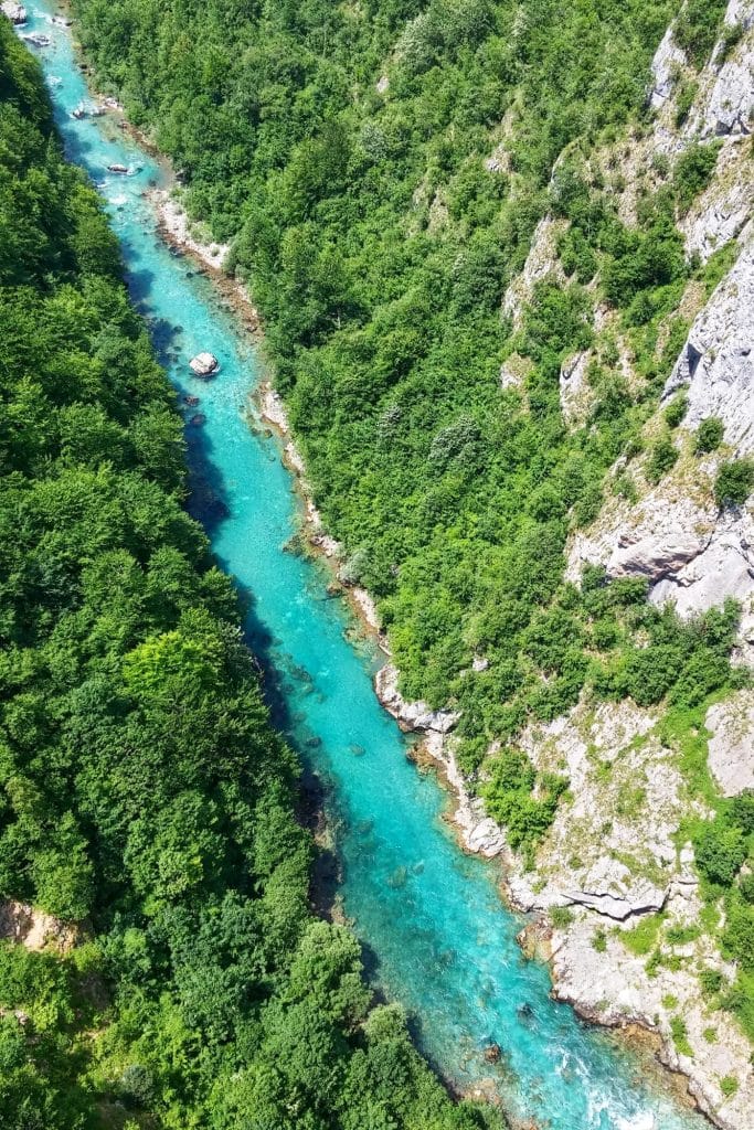 Vogelperspektive auf einen Fluss und Wald 