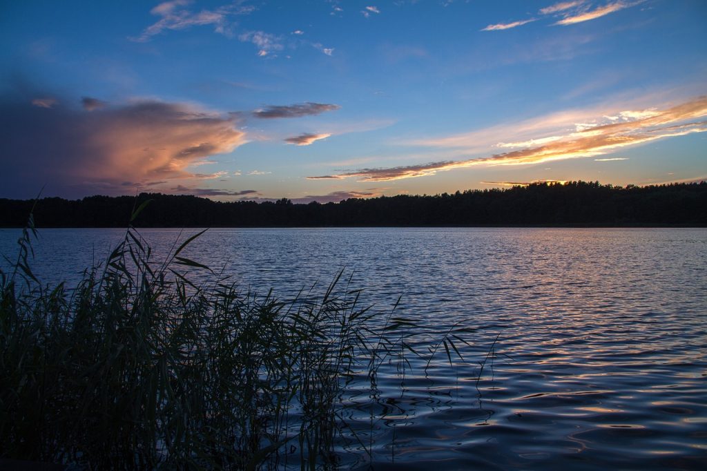 Camping Mecklenburgische Seenplatte - Blick auf den See "Müritz" mit Wäldern im Hintergrund.