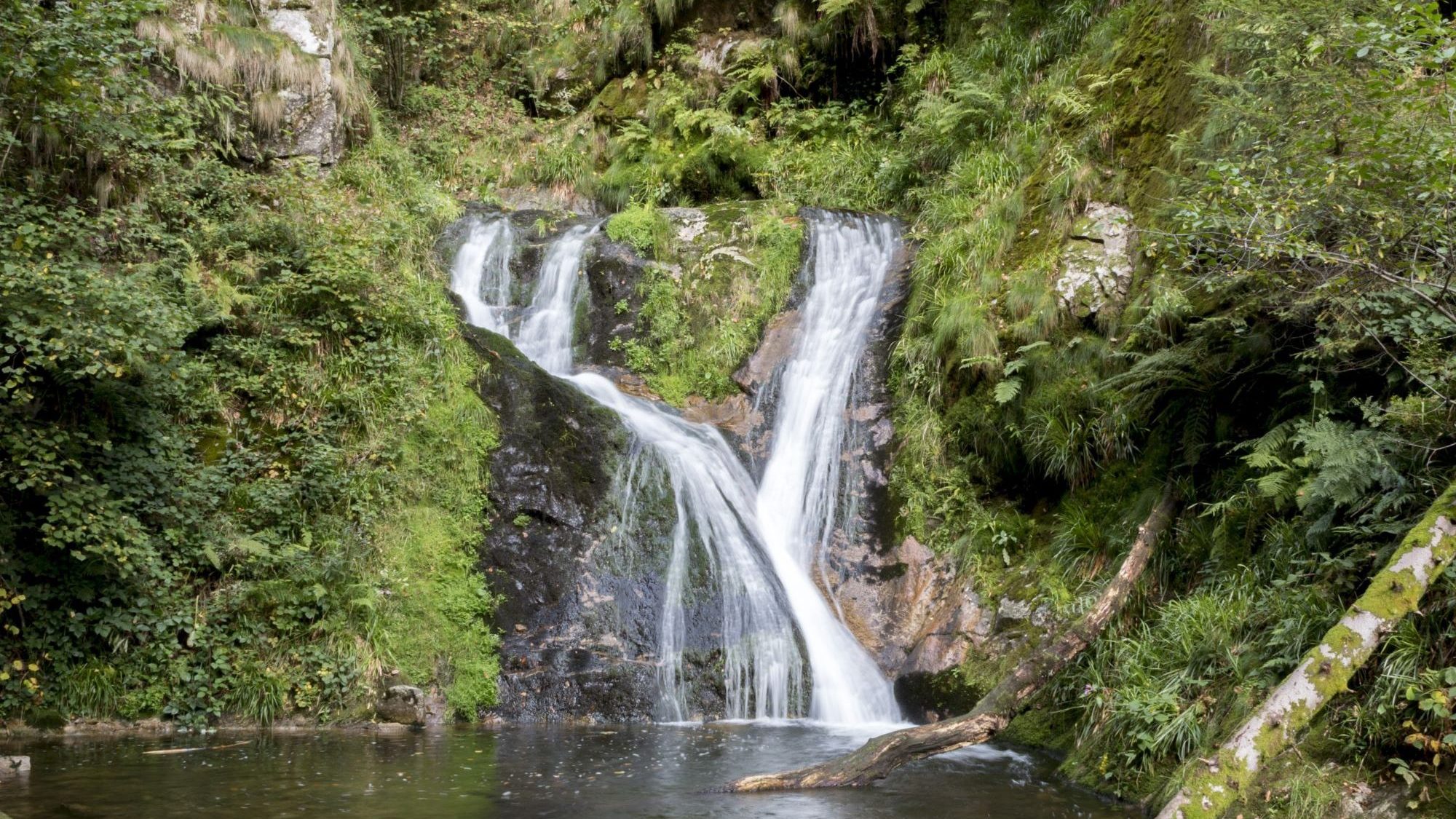 Wasserfälle in Wald