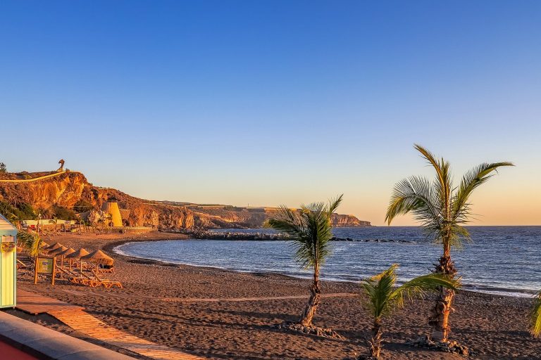 Campingplätze Teneriffa - Blick auf einen Strand auf Teneriffa mit Klippen und dem Meer im Hintergrund sowie Palmen im Vordergrund.