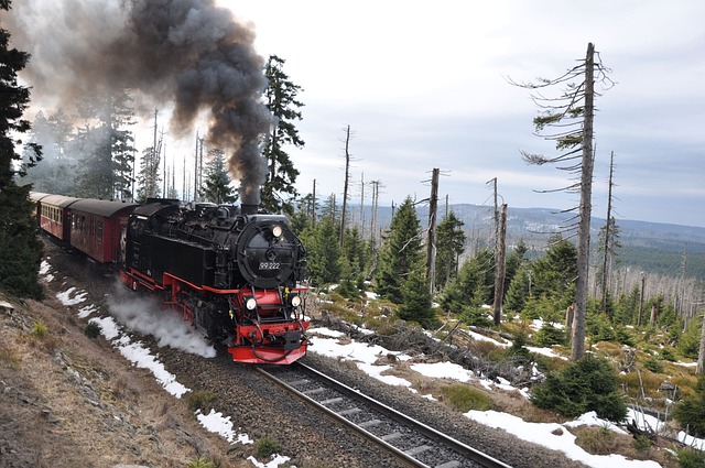 Brückentage 2024 NRW - Blick auf die fahrende Brockenbahn im Harz.