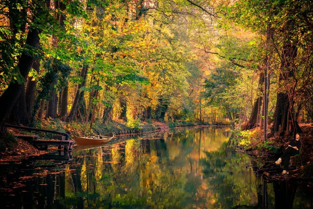 Brückentage 2024 Berlin - Blick auf den Spreewald vom Fluss aus.